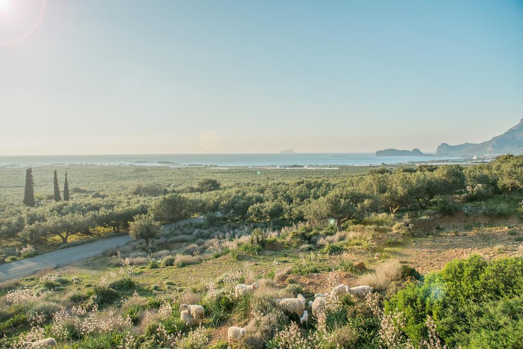Villa Tramonto ฟาลาซาร์นา ภายนอก รูปภาพ